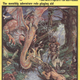 Steve Swenston’s cover for Dragon magazine’s 39th issue